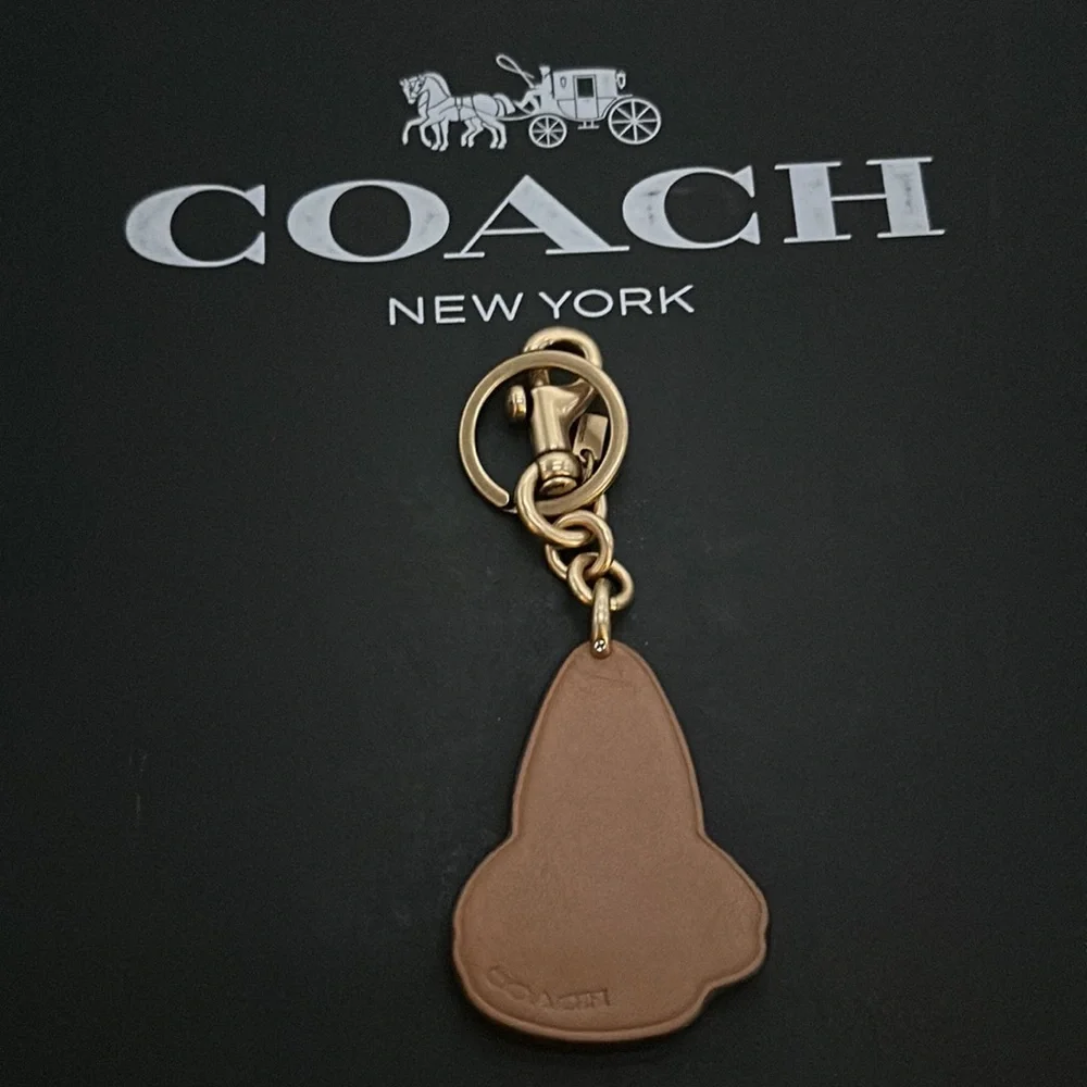 Coach Rainbow Sharky Bag Charm Keychain Leather Pride Limited Edition Purse clip - Picture 5 of 5